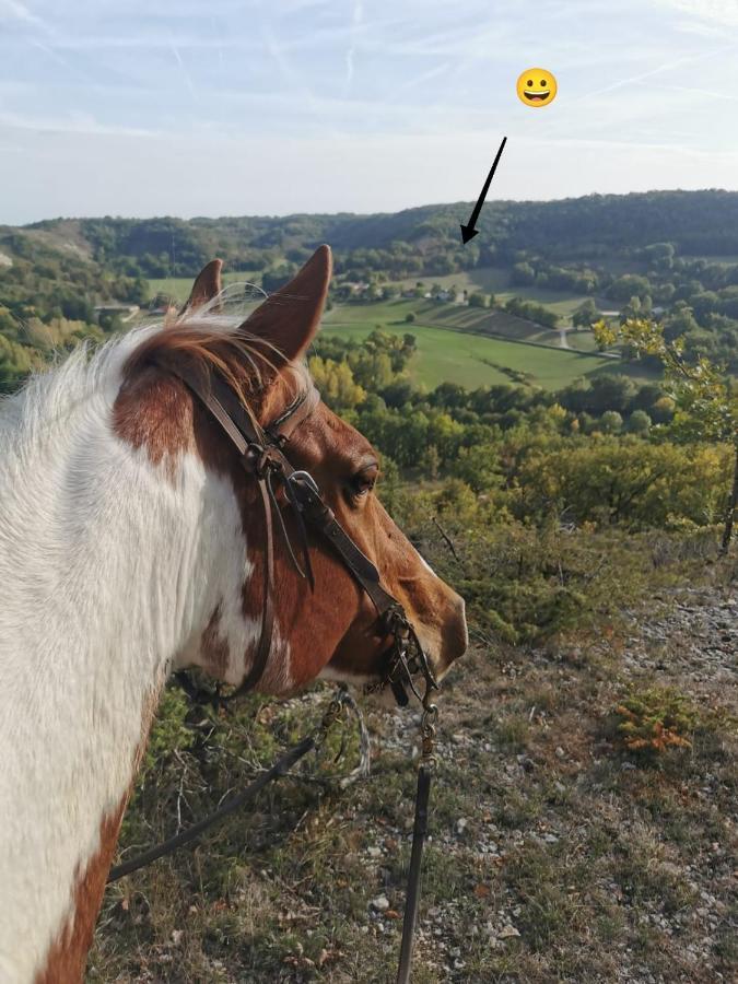 Gite Baden Le Boulvé Buitenkant foto